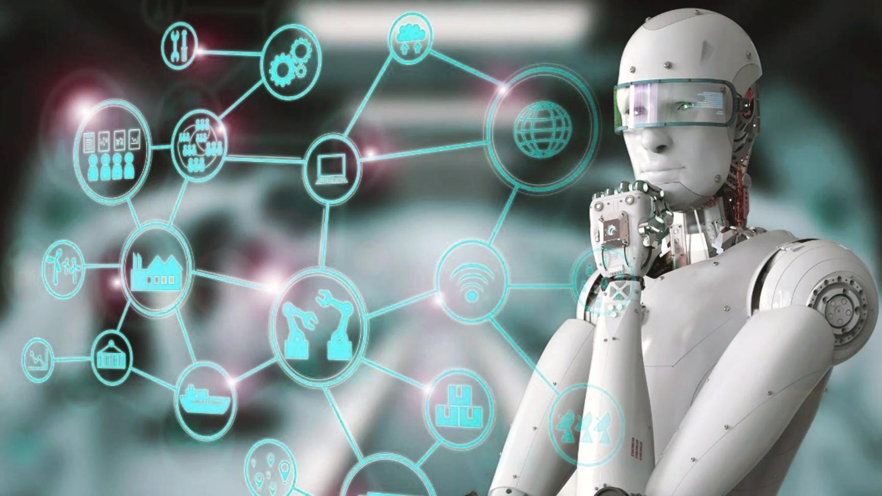 Wisdex ofis binası ve çalışma ortamı